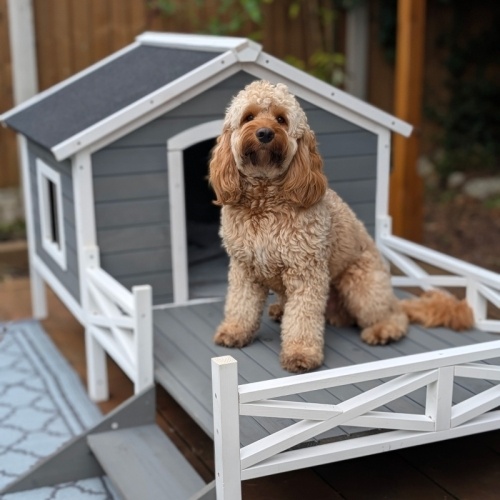 42b64064-5a51-440d-b6f0-1d67ce2c7d0f.jpg PawHut Small Medium Dog House With Porch, Grey