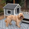 51fee685-5c4b-42bd-a2d6-ba364e8a2cfc.jpg PawHut Small Medium Dog House With Porch, Grey