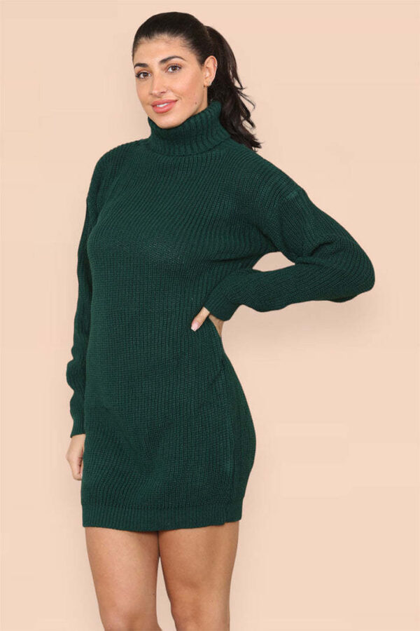 Polo Roll Neck Over Sized Ribbed Knitted Florescent Chunky Sweater Jumper Dress