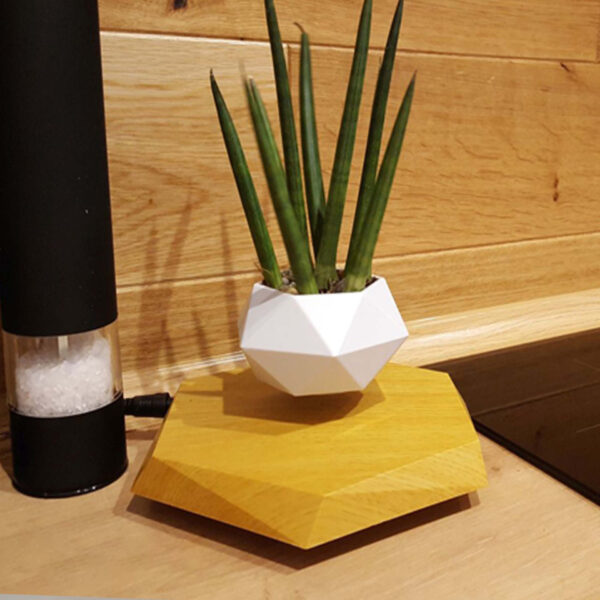 9f6a1291-d5e8-4757-828c-88c03913199a.jpg Floating Magnetic Levitating Flower Pot Bonsai Air Plant Pot Planter Potted For Home Office Desk Decor Creative Gift